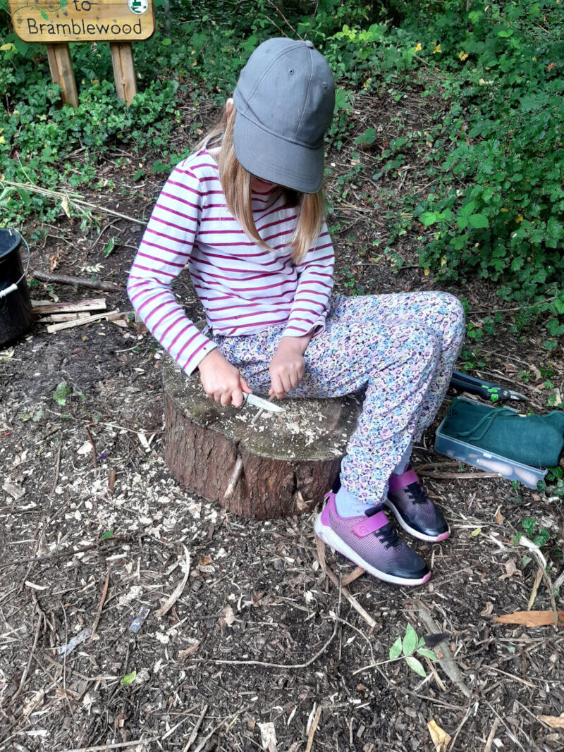 Saturday Forest School - the bramblewood project